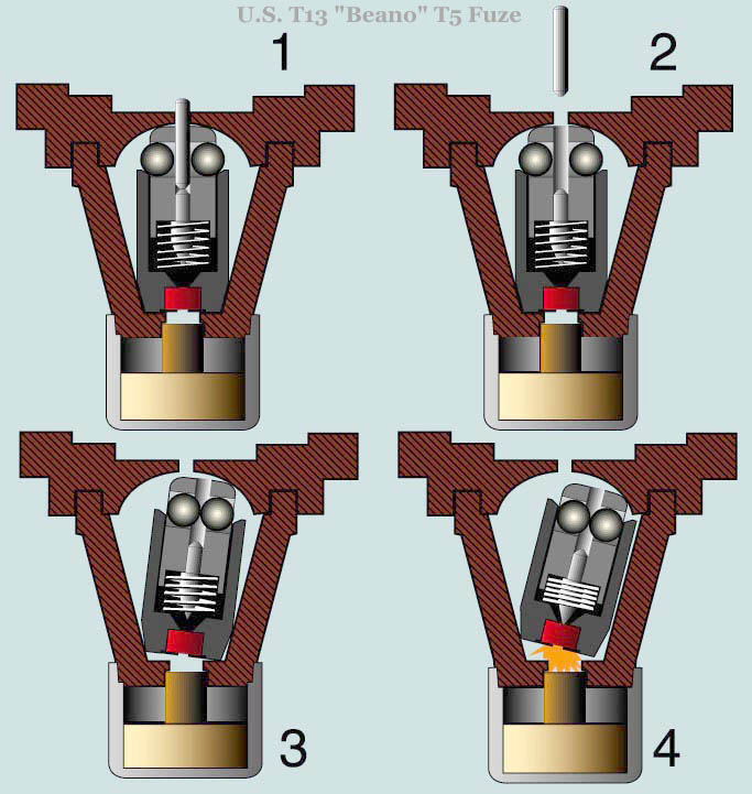 T5 Function